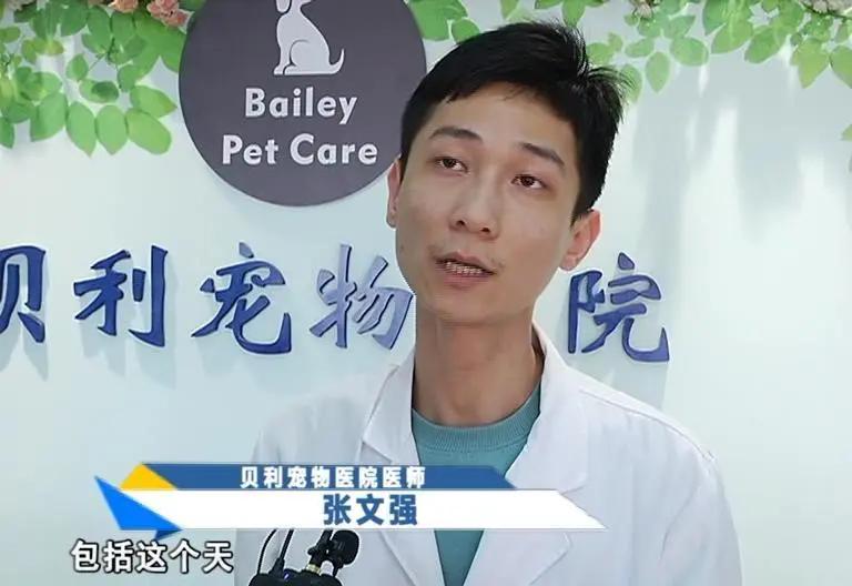 寄养“恶霸”离奇暴毙，医生说，可能是热的……