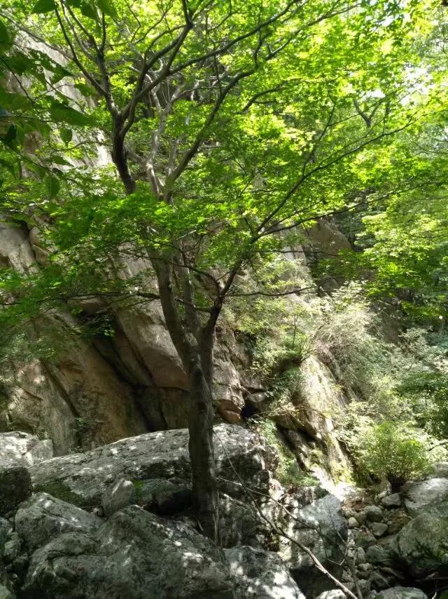 徒步老君山,徒步老君山教学