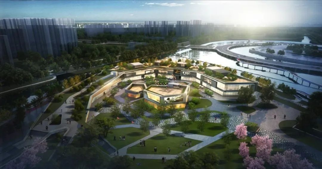 活力岛还会涨吗,活力岛活力环