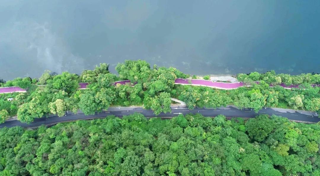 杭州建德新安江紫薯绿道,建德新安江紫薯绿道地址