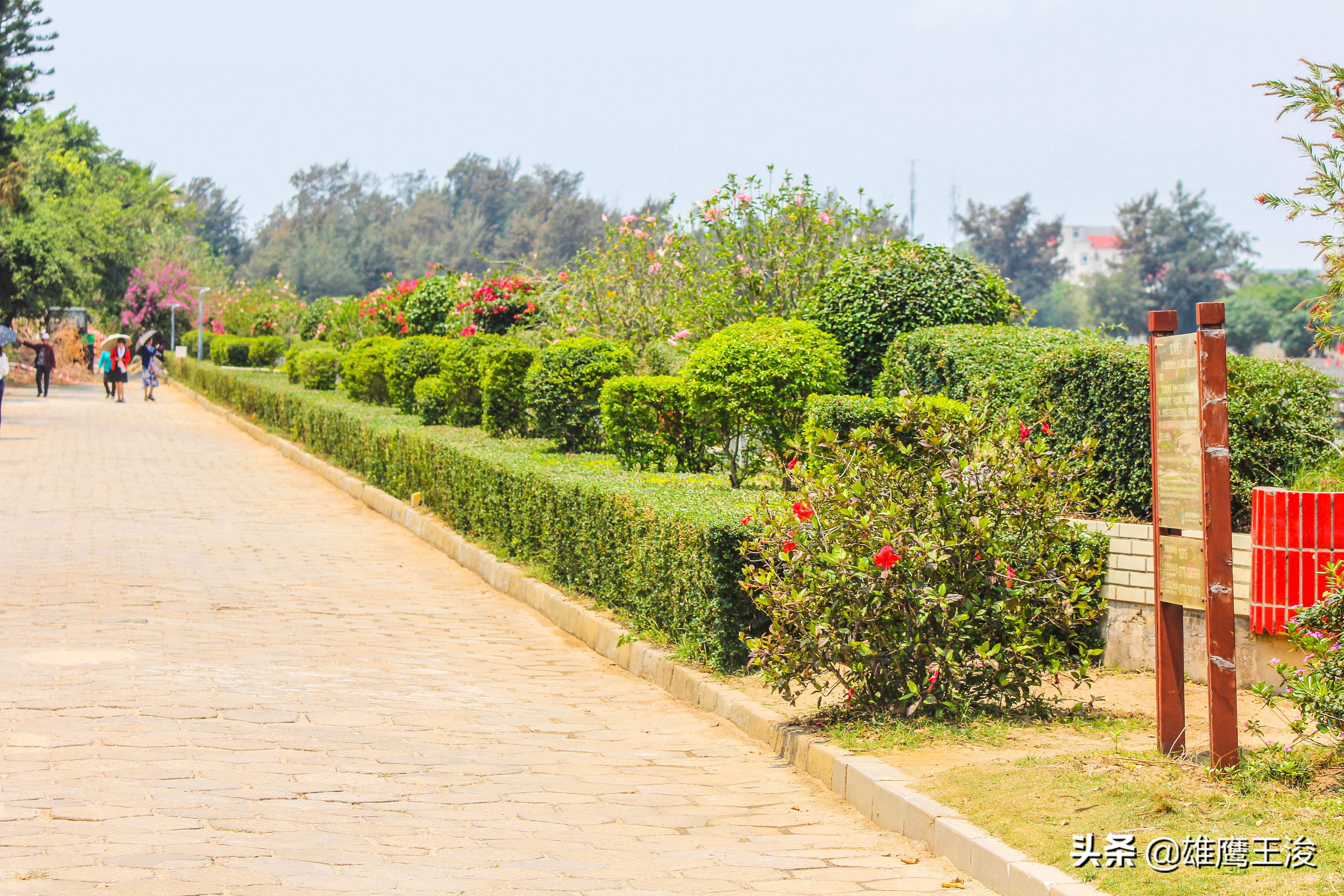 广西最美最浪漫海滩海岛,广西特别小众的海滩