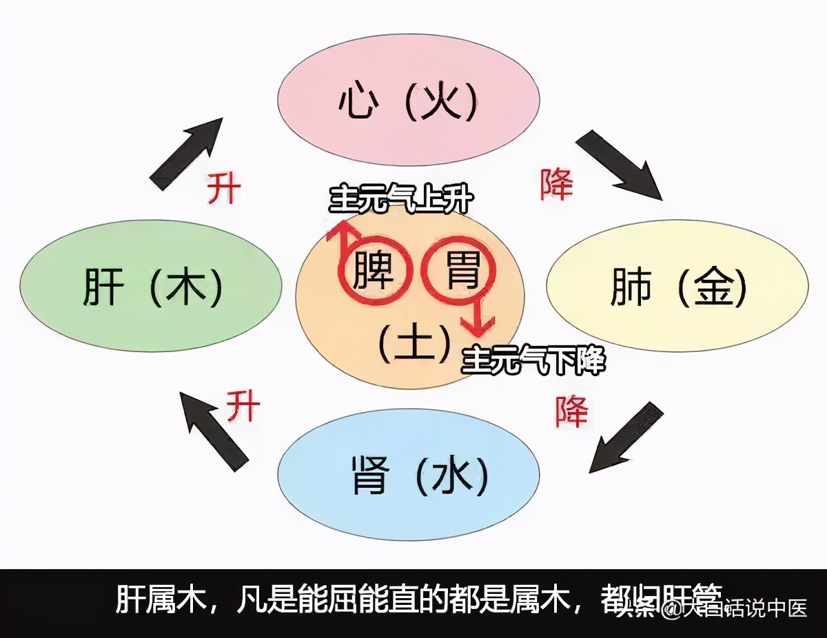 大白话说中医第七十九集,大白话说中医第二十集