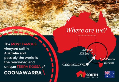 性价比最高的赤霞珠葡萄酒,性价比最高的十款白葡萄酒