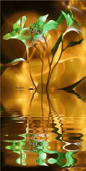 这是我见过最美丽的风景用英语,这是我见过最美的风景啥意思