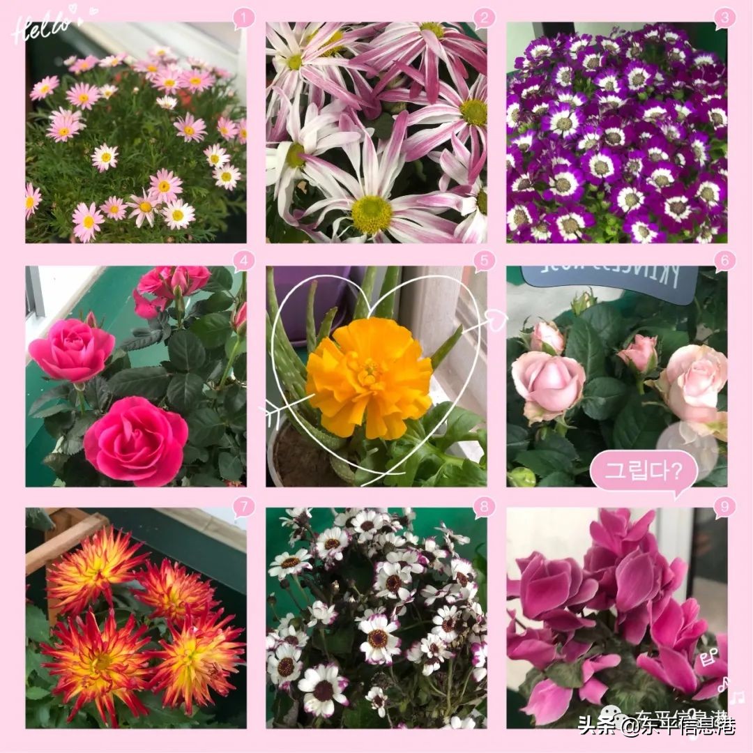 新学期开创新辉煌手抄报,新学期新希望再创新辉煌