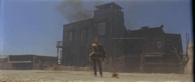 王家卫姚晨,姚晨王家卫