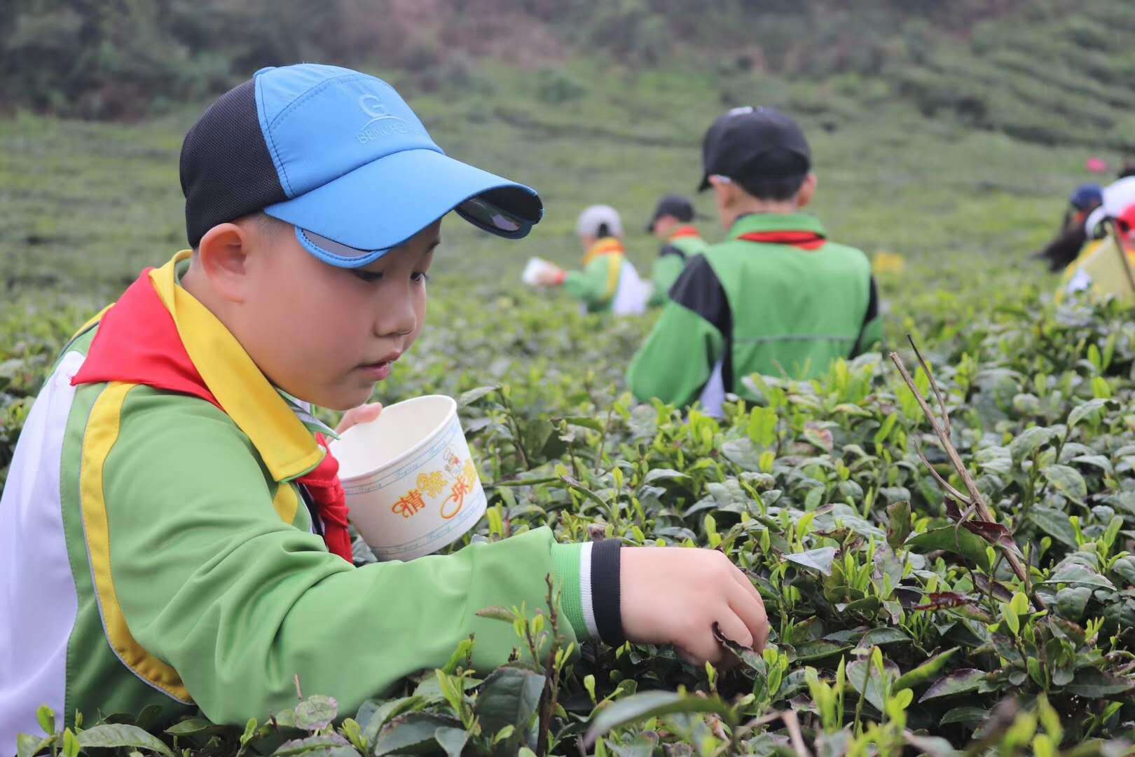草长莺飞踏青季哪里好玩,草长莺飞春游