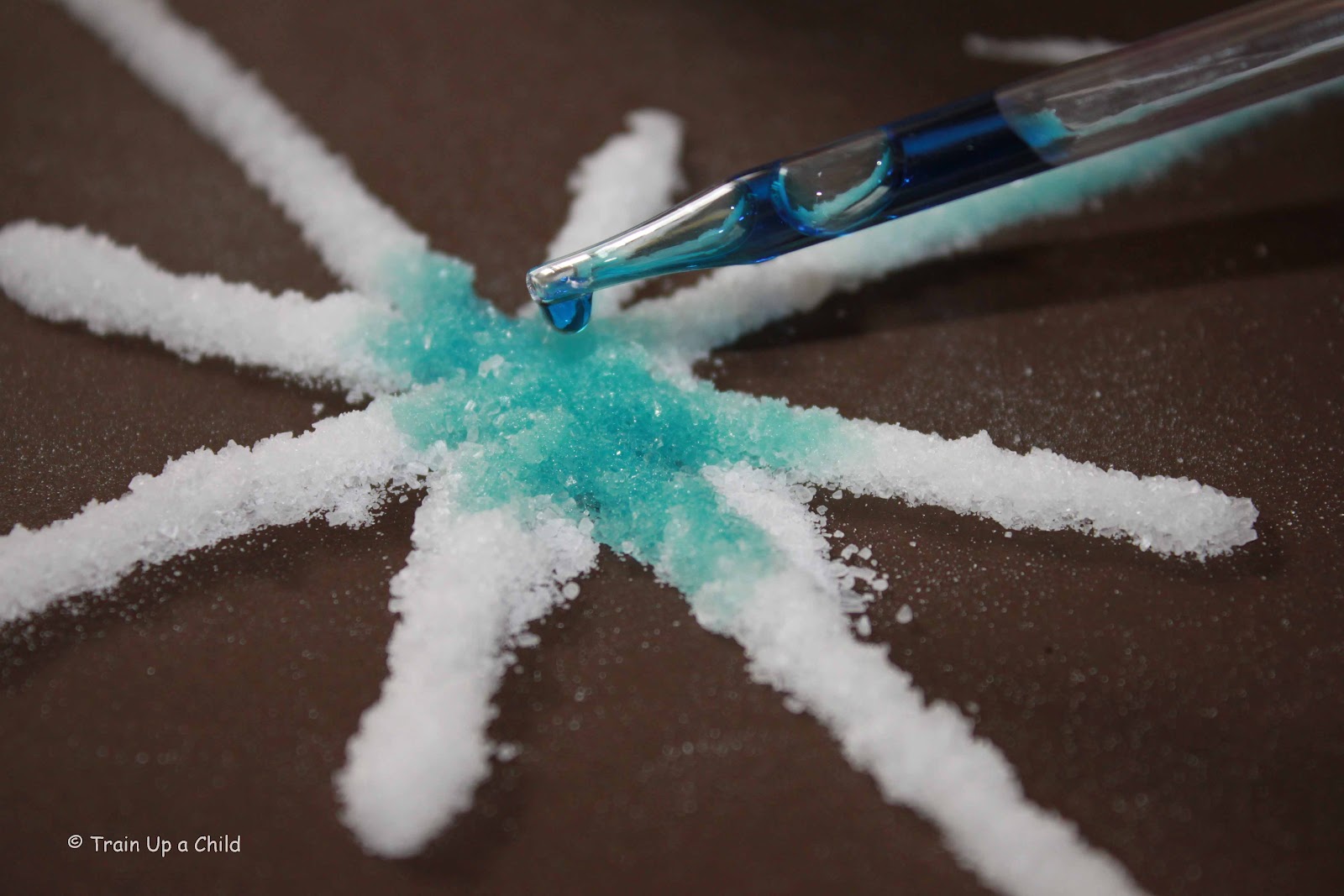 庆元旦烟花爆竹,庆元旦迎烟花