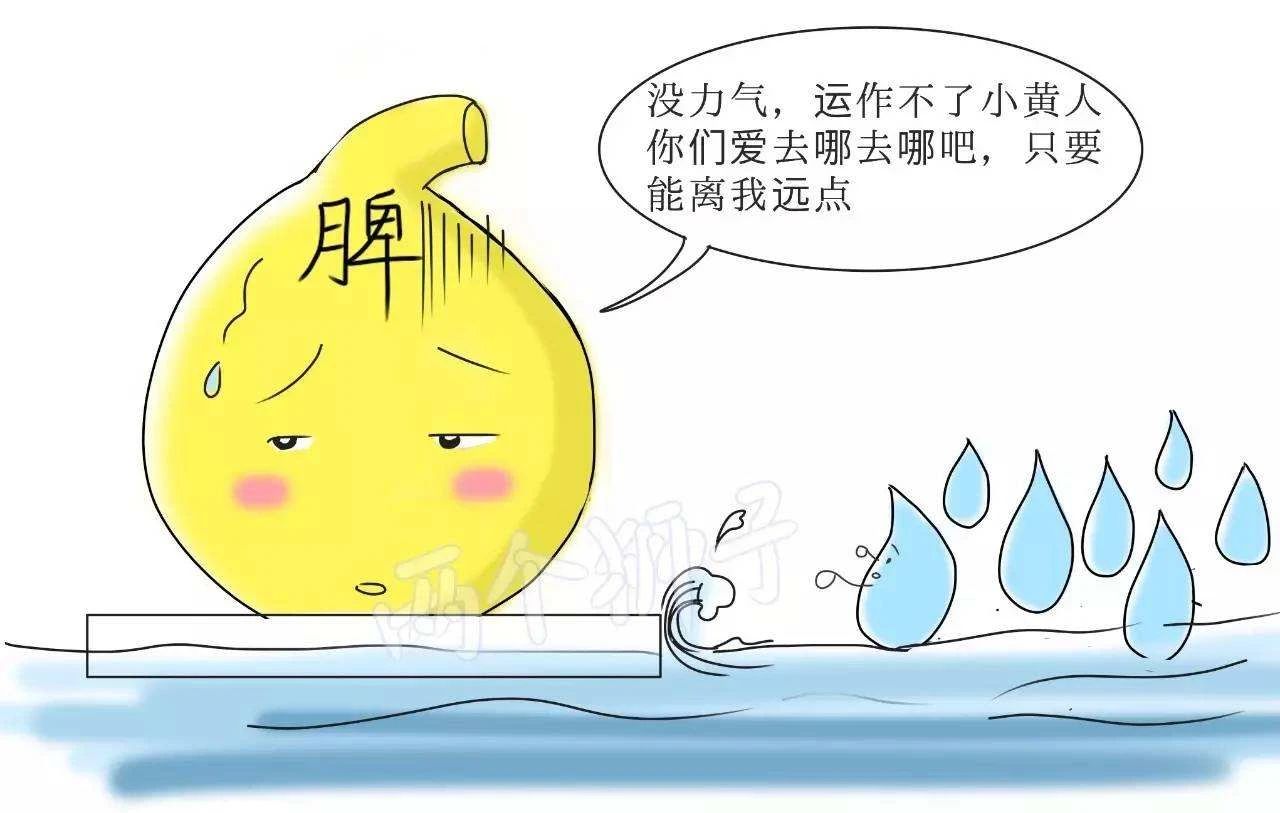 脾虚犯困怎么治疗,脾虚食欲不振中药治疗