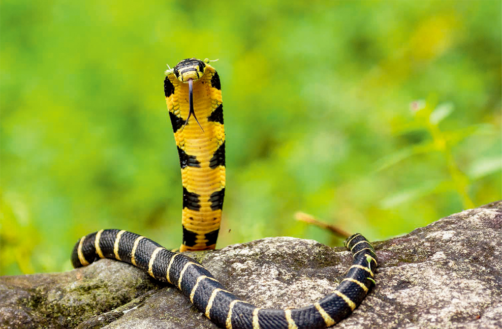 程斌摄影师,程斌摄影师作品