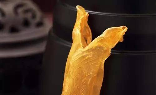 鱼胶知识大全视频,最全常识看完涨知识