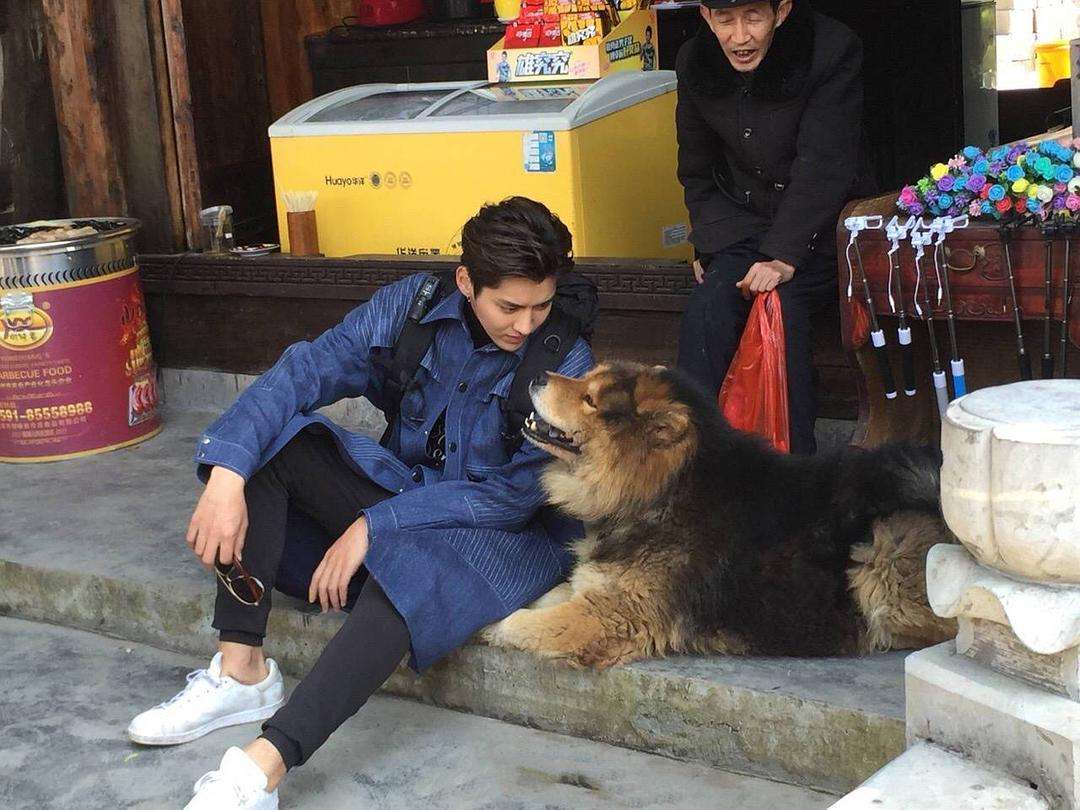 狗狗经常舔猫爪,狗狗铲屎官容易犯的错