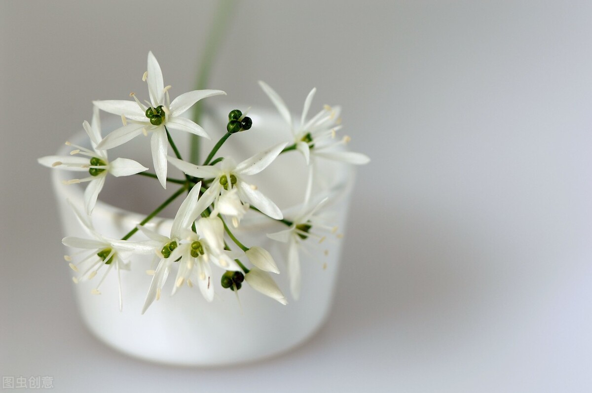 十二星座在班里谁谈爱谁喜欢你,十二星座怎样聊天才是真喜欢你