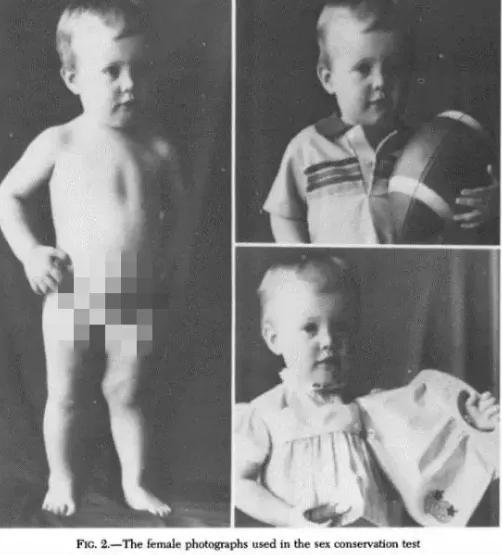 最美变性女星,最美变性女神泰国