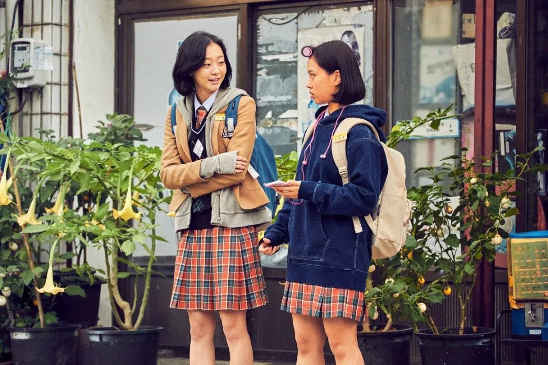 韩国拳拳到肉高分动作电影,一部拳拳到肉的动作片电影