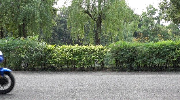 小牛新国标mqi2价格,小牛电动mqi2绿标和黄标的区别