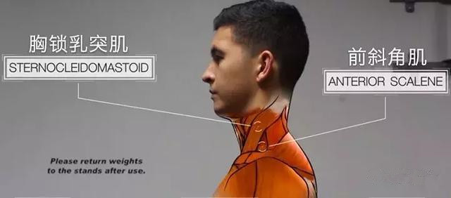 矫正颈部前伸最简单有效的方法,颈部前伸怎么矫正