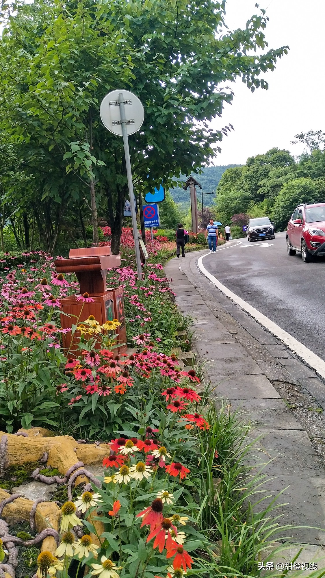 洪雅七里坪温泉小镇,洪雅县七里坪度假区管委会