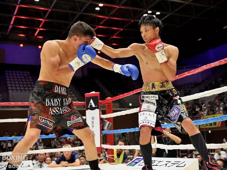 又一场中日拳击大战即将上演！徐灿欲击败日本拳王捍卫中国荣耀