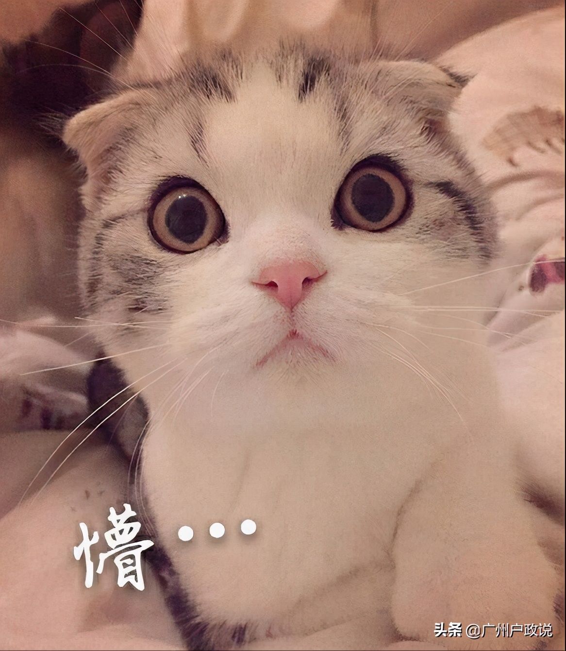 学历档案毕业后一般存放在哪里,毕业档案到底存放在哪里