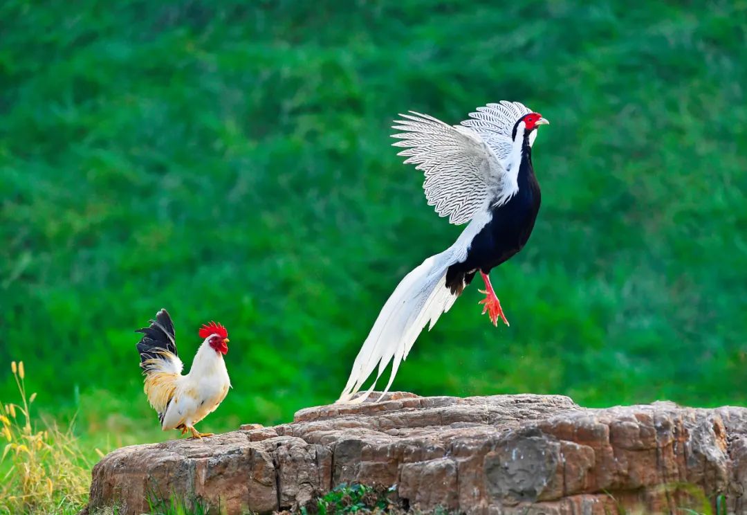 香港第14届全国摄影艺术展,第29届全国摄影艺术展览获奖名单