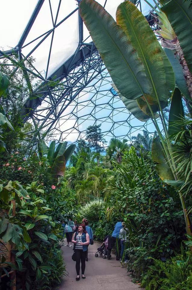 世界第八大奇迹：废矿变身伊甸园，年游客超两百万