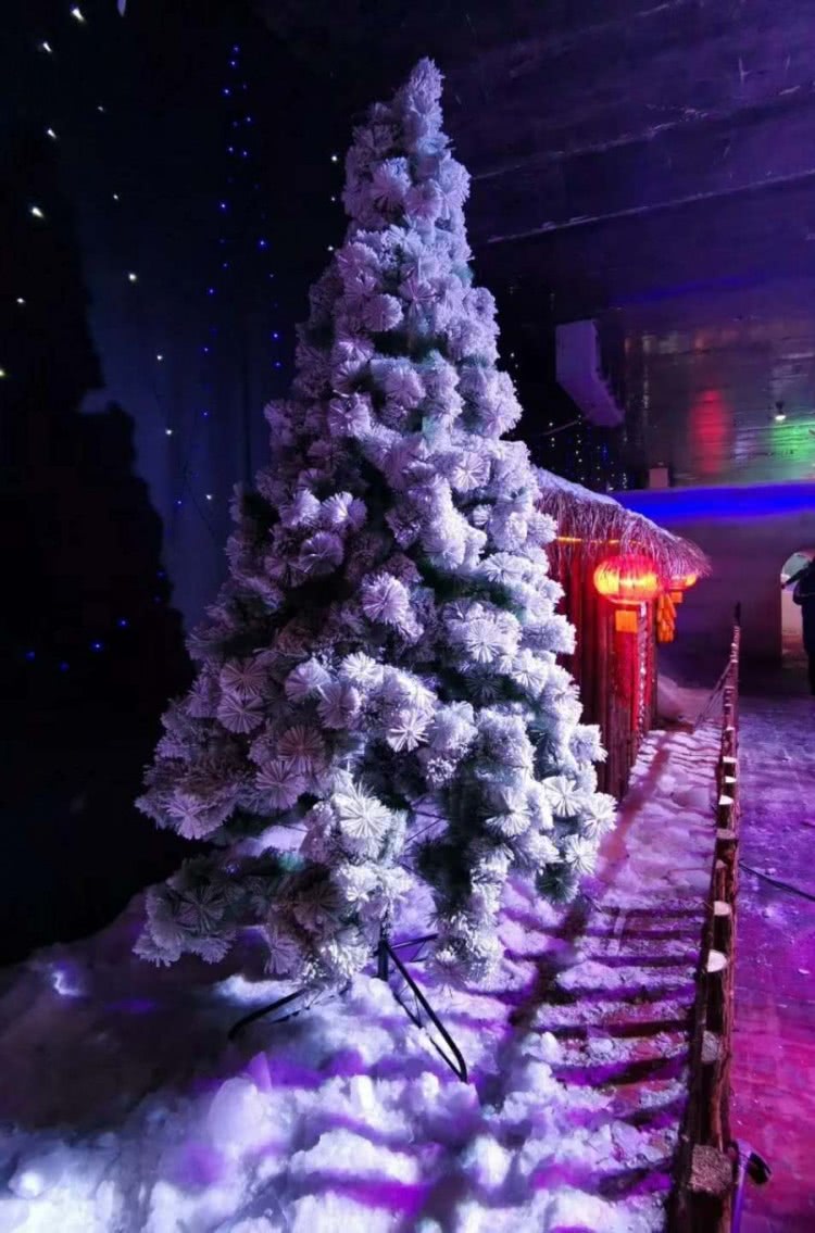 韶关碧桂园凤凰酒店电话,韶关碧桂园太阳城凤凰酒店