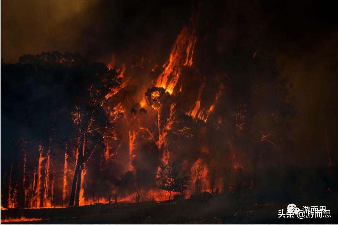 最新澳大利亚大火,澳大利亚四个月大火简介