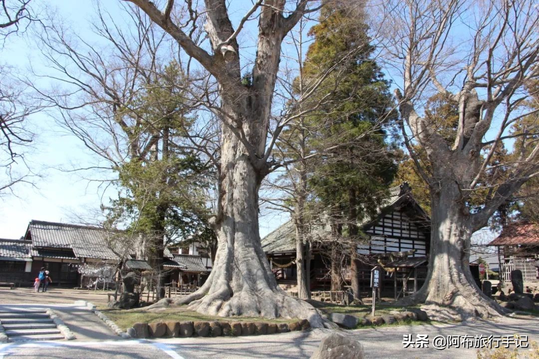 去长野泡温泉，半路遇驿站观光，让我们对日本商业有了新的看法