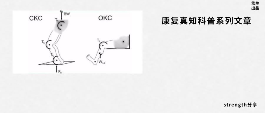 运动动力链是什么,人体运动系统动力链