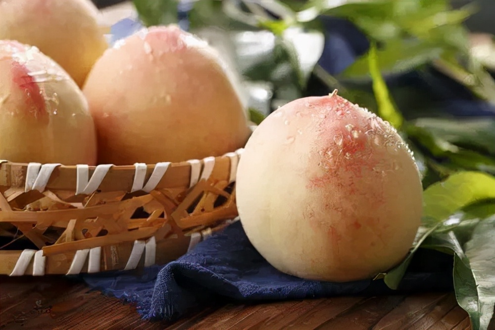 宁波适合种什么水果,宁波南洋水果