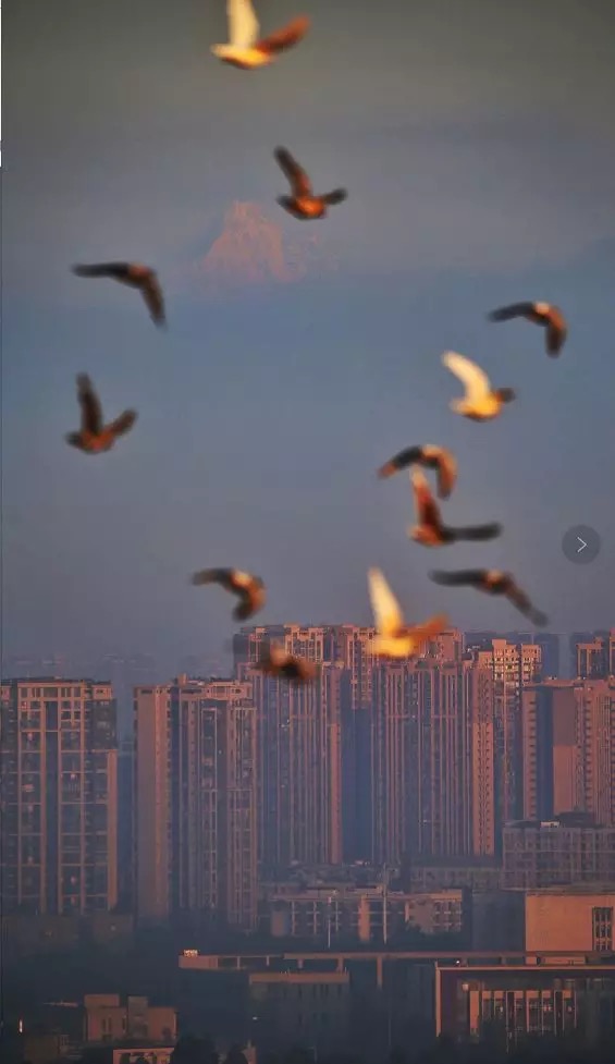 成都年轻人都是什么工作,成都基本都是川a吗