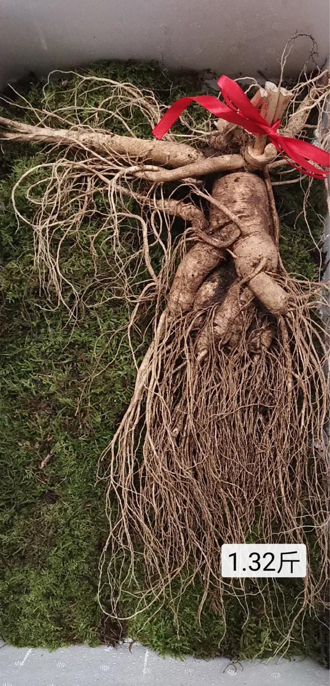 人参7两为参八两为宝什么意思,人参为什么说7两为参8两为宝