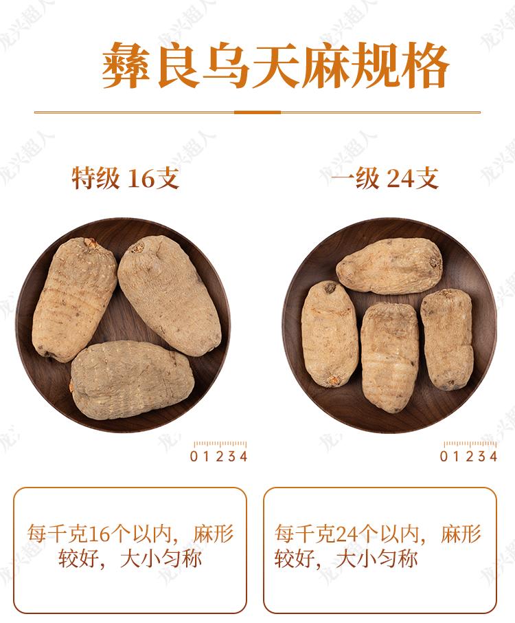 达州道地药材天麻,正宗中药材天麻