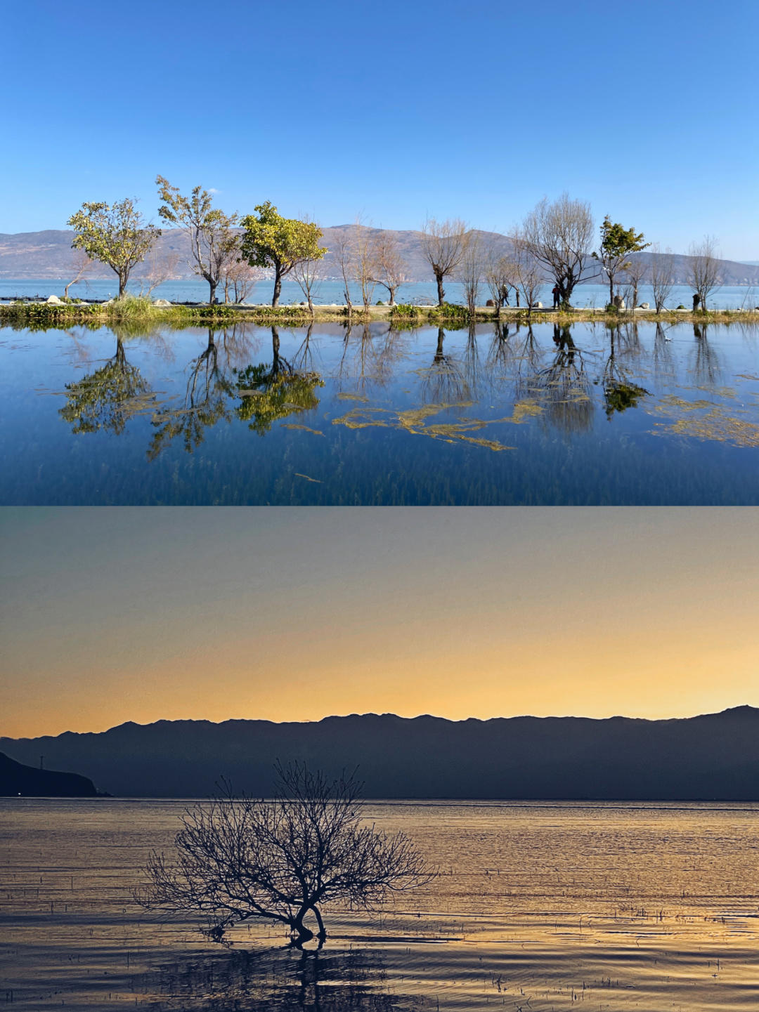 云南旅游纯玩团价格3天自由行,云南旅游七日游跟团报价