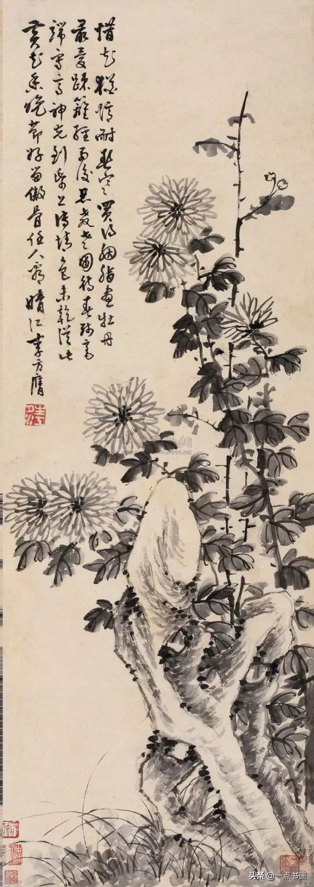 国画菊花画法步骤图解,国画菊花品种大全