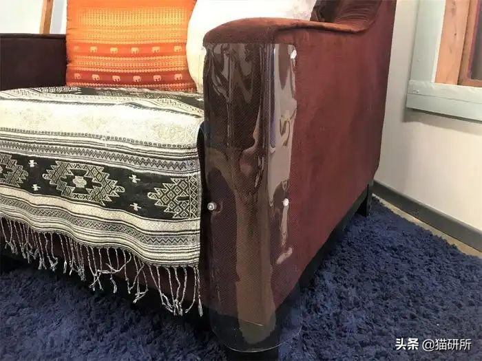 怎么惩罚猫咪挠沙发,猫咪不会挠坏的沙发