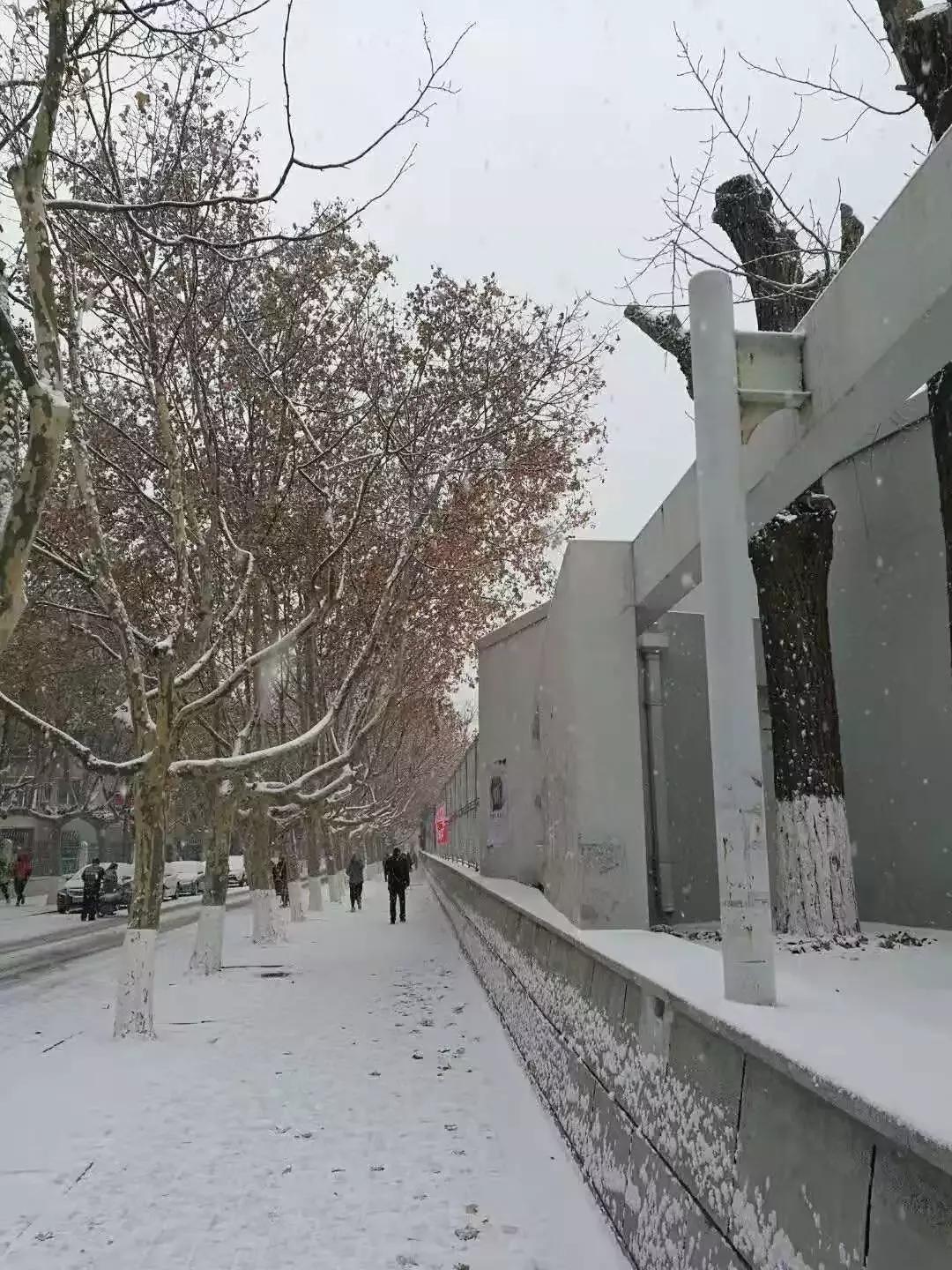 辽宁师范大学辽宁省一流课程,辽宁省普通高等院校