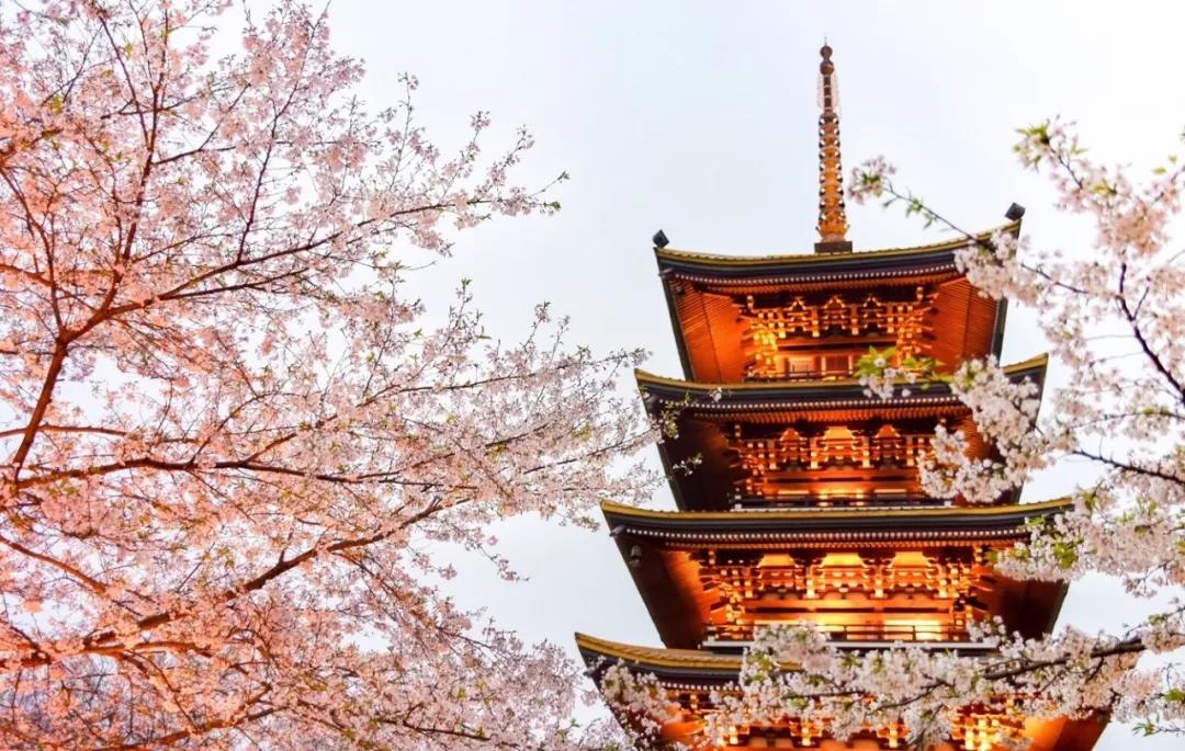 苦等西安初雪？不如花一顿饭钱从西安出发，过把冬天的瘾