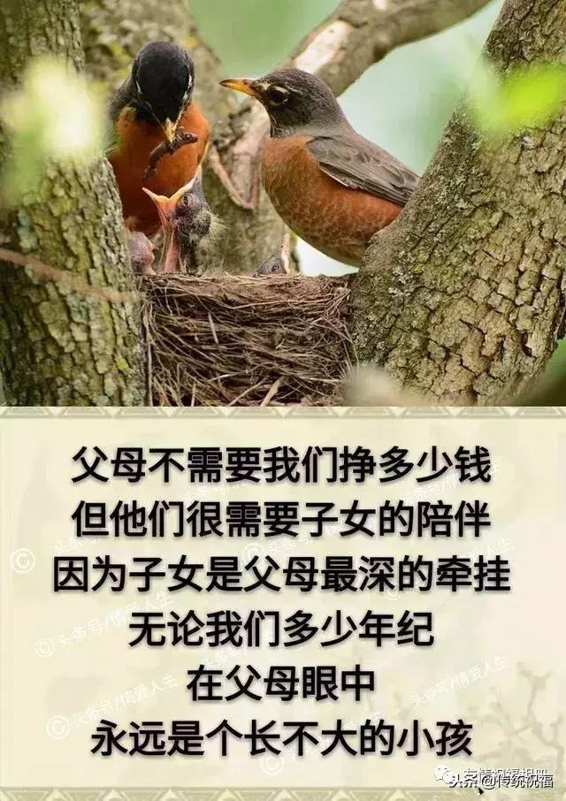 我的家庭相册怎么弄,我的家庭相册全集