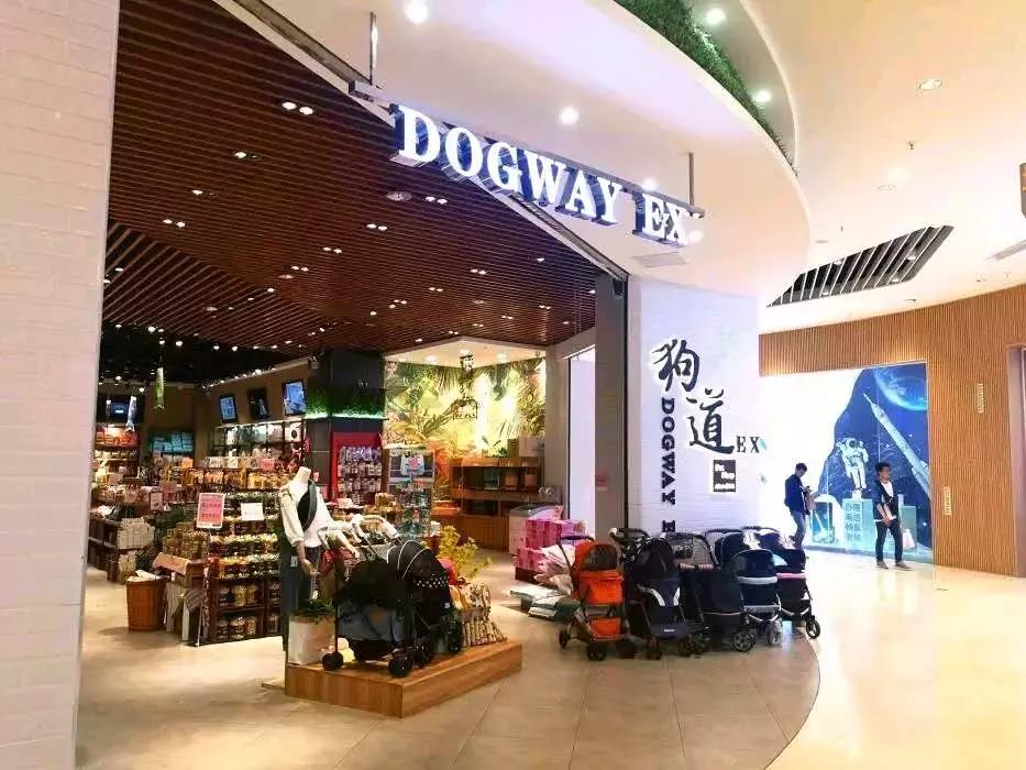 开宠物店一个月可以赚多少钱,揭秘宠物店是怎么赚钱的