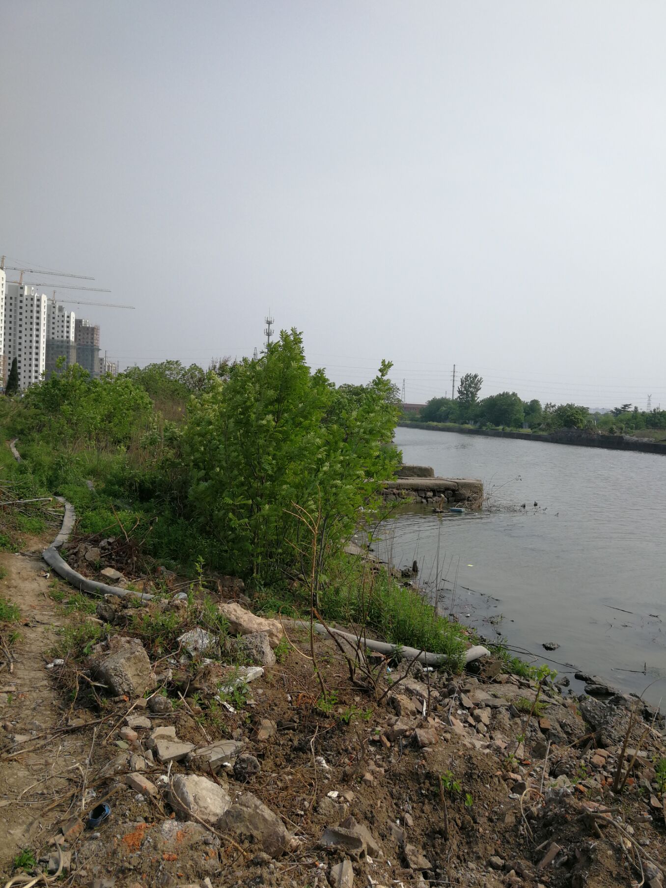 江阴锡澄运河的历史,锡澄运河老照片