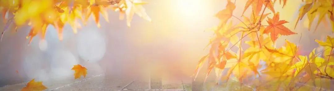 秋天的树叶为什么变黄或者脱落,秋天的叶子为什么变黄落下来