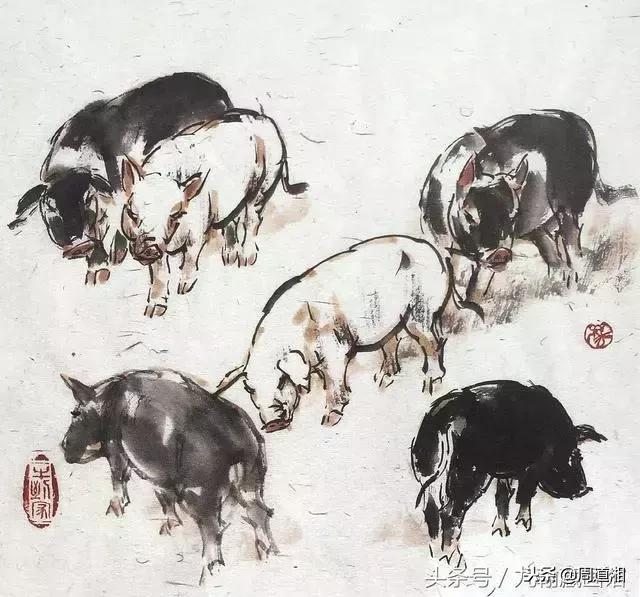 国画工笔猪图片,大写意画猪国画作品