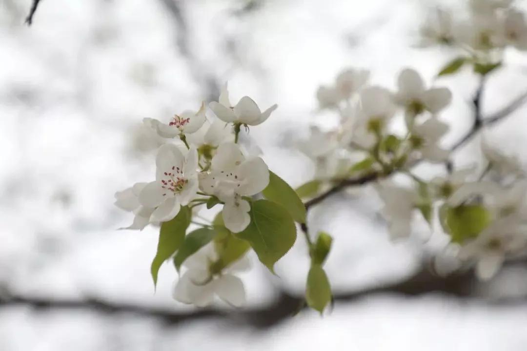 情深缘起重逢,情深缘起下一句