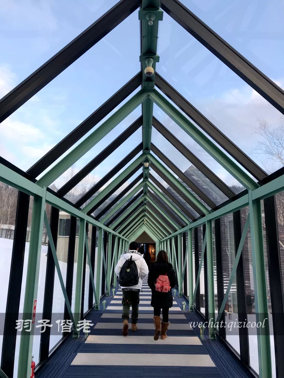 日本10天自由行费用北海道,东京北海道5日自由行攻略