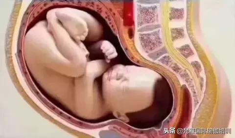 产后修复知识大全书本,科普产后康复有必要做吗