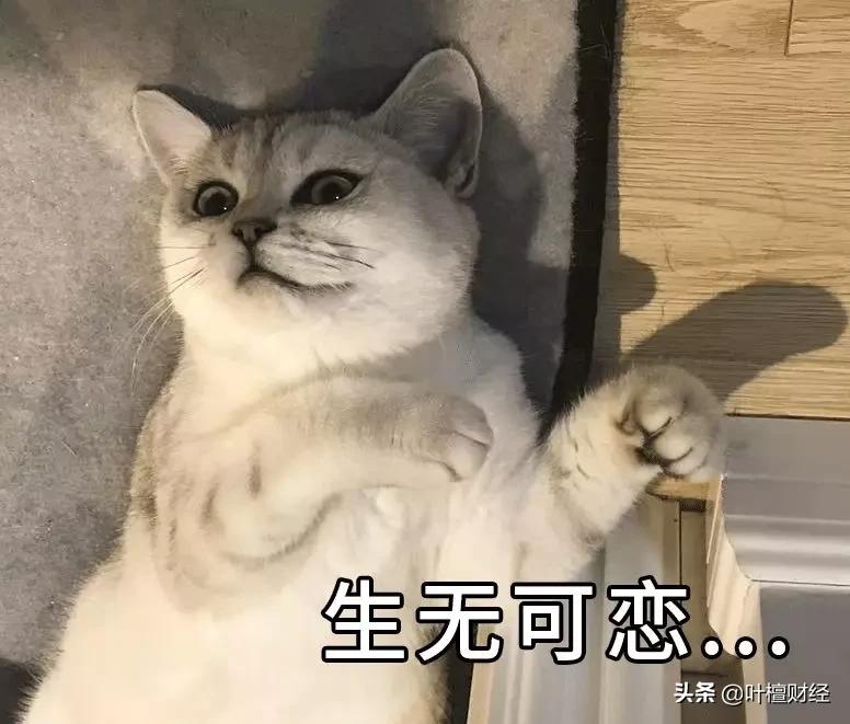 叶檀富豪榜,叶檀财经故事