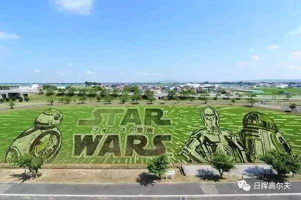 20个日本农场案例,日本最成功的主题农场