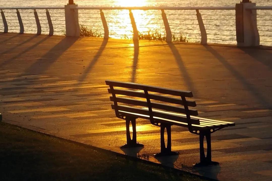 曲阜孔庙春节活动,曲阜孔庙景点介绍